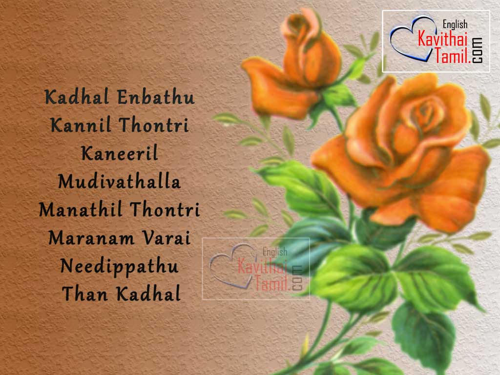 Best True Love Tamil Poem Quotes In English Words With Rose Images For Share In Facebook Whatsapp