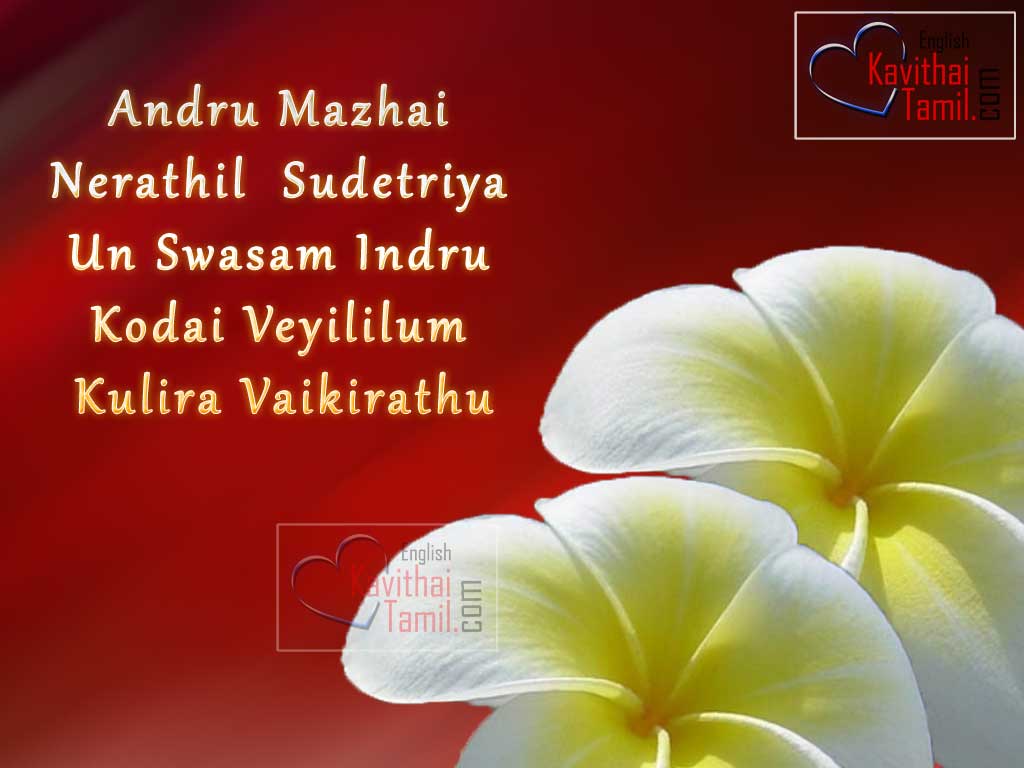 Love Romantic Quotes  Romantic Thanglish Love Quotes Images English Kavi Tamil