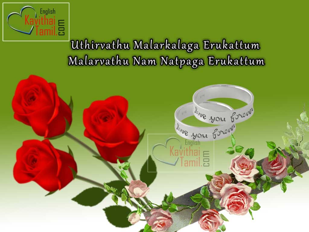 Cute Tamil Natpu kavithaigal In English Messages With Rose Pictures For Sharing Facebook Whatsapp