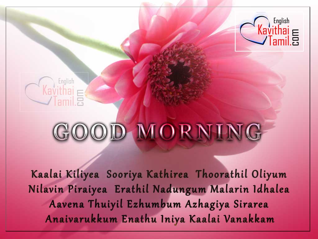 Tamil Good Morning Greetings - Page 3 of 3 | English.Kavithaitamil.com