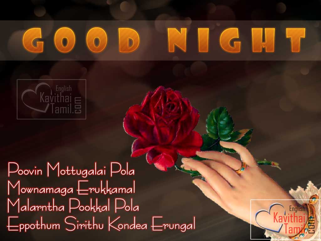 Tamil Latest Super Inspiring Good Night Kavithai And Good Lines With Super Hd Rose Flower Background 