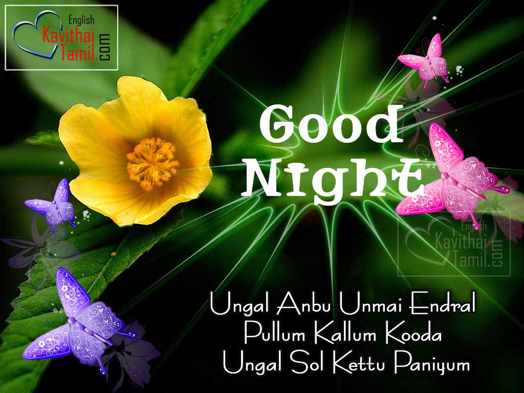 New Best Good Night Tamil Greetings Pictures 